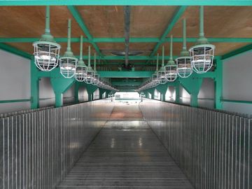 Linea di produzione flessibile della schiuma del materasso con controllo di SpA, 50Kg/³ di m.